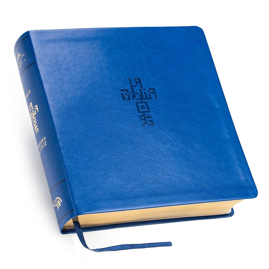 Biblia NTV devocional QR color azul